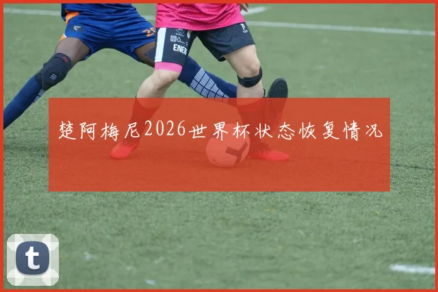 楚阿梅尼2026世界杯状态恢复情况