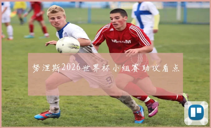 努涅斯2026世界杯小组赛助攻看点