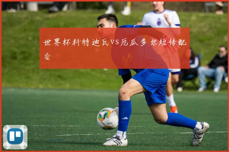 世界杯科特迪瓦vs厄瓜多尔短传配合
