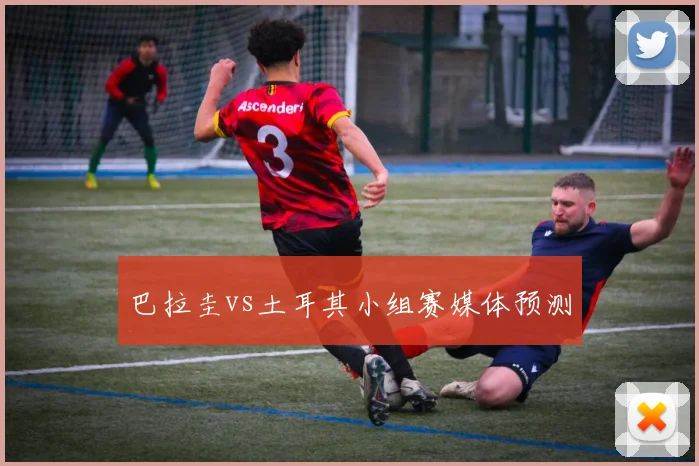 巴拉圭vs土耳其小组赛媒体预测