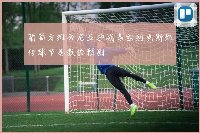 葡萄牙维蒂尼亚迎战乌兹别克斯坦传球节奏数据预测