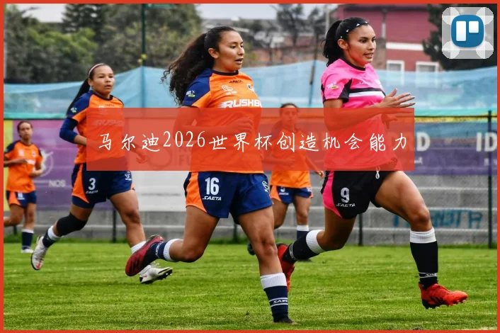 马尔迪2026世界杯创造机会能力