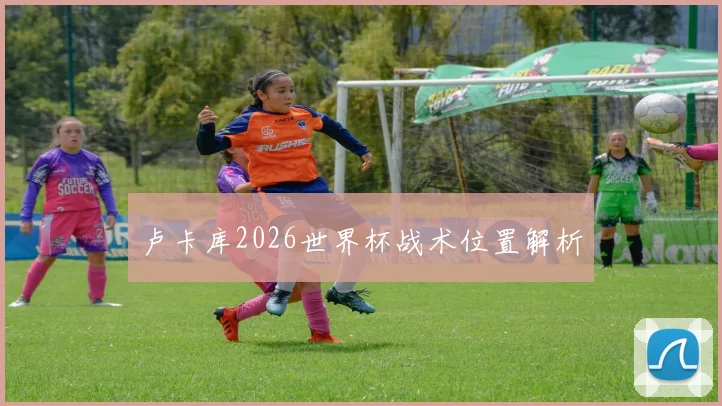 卢卡库2026世界杯战术位置解析